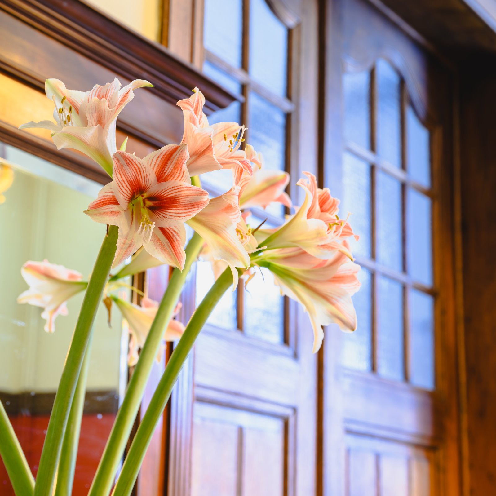 Parallax Background Image